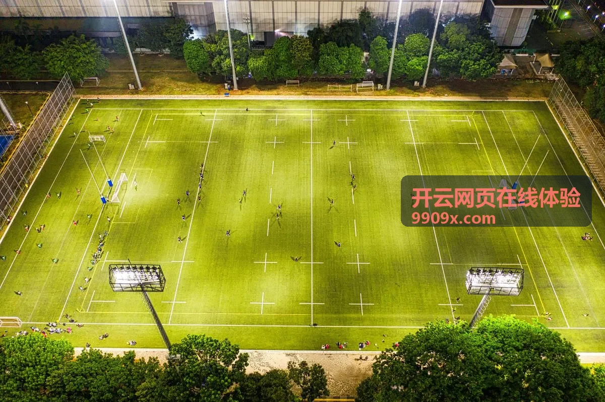 开云网页在线体验的网页端开通资料填写界面