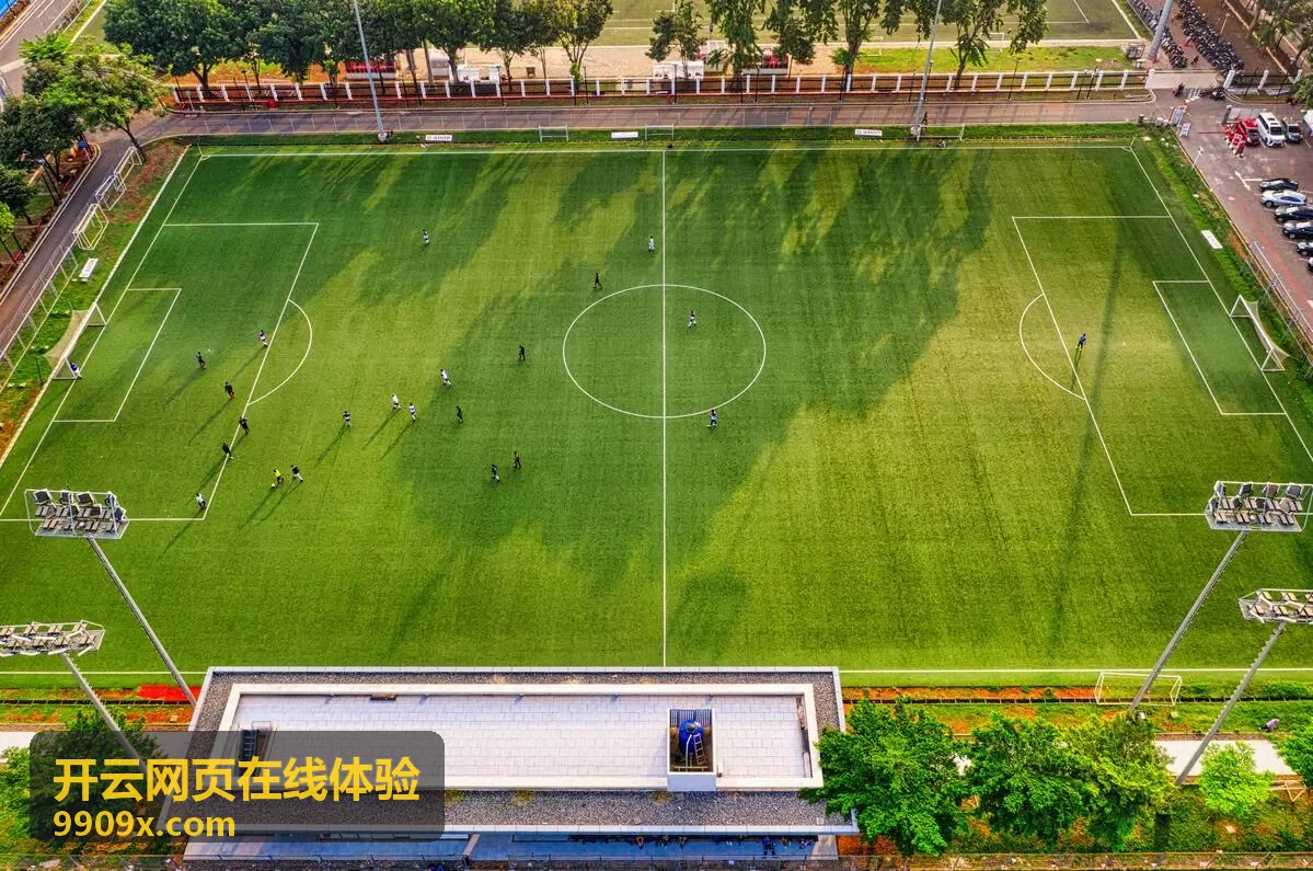 开云网页在线体验常见问题解答页面的操作示意
