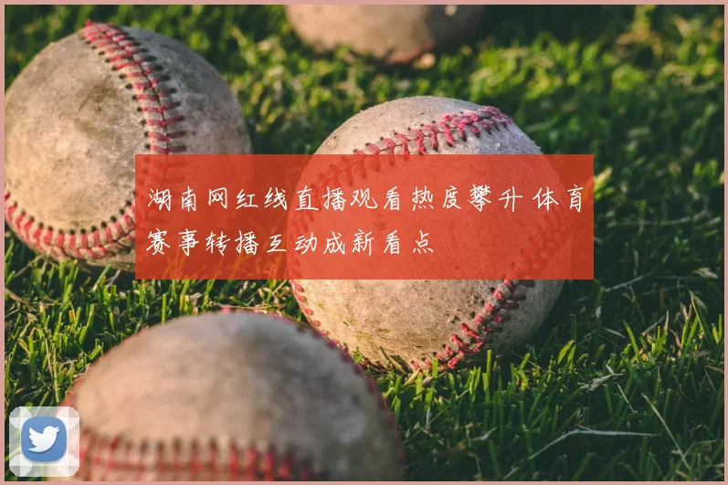 湖南网红线直播观看热度攀升 体育赛事转播互动成新看点