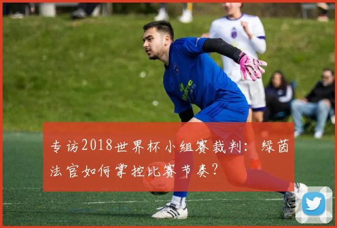 专访2018世界杯小组赛裁判：绿茵法官如何掌控比赛节奏？