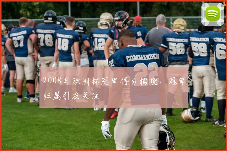 2008年欧洲杯冠军得分揭晓，冠军归属引发关注