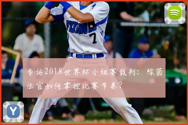 专访2018世界杯小组赛裁判：绿茵法官如何掌控比赛节奏？