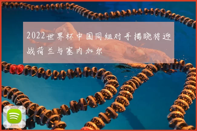 2022世界杯中国同组对手揭晓将迎战荷兰与塞内加尔